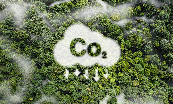 Empower Sustainability
