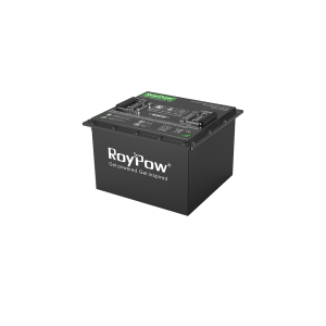 LiFePO4 Golf Cart Batteries – S3880