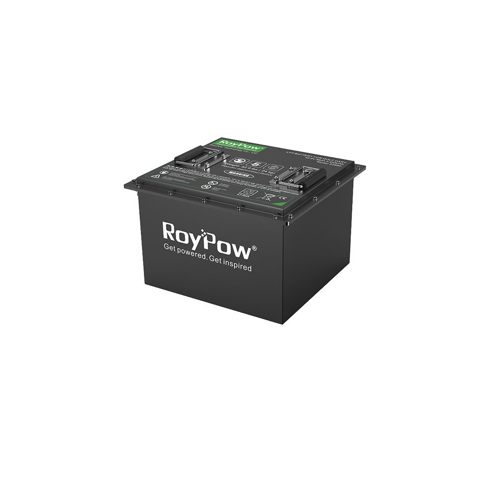 ROYPOW S3880