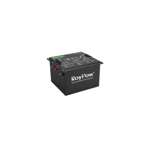 LiFePO4 Golf Cart Batteries – S3856